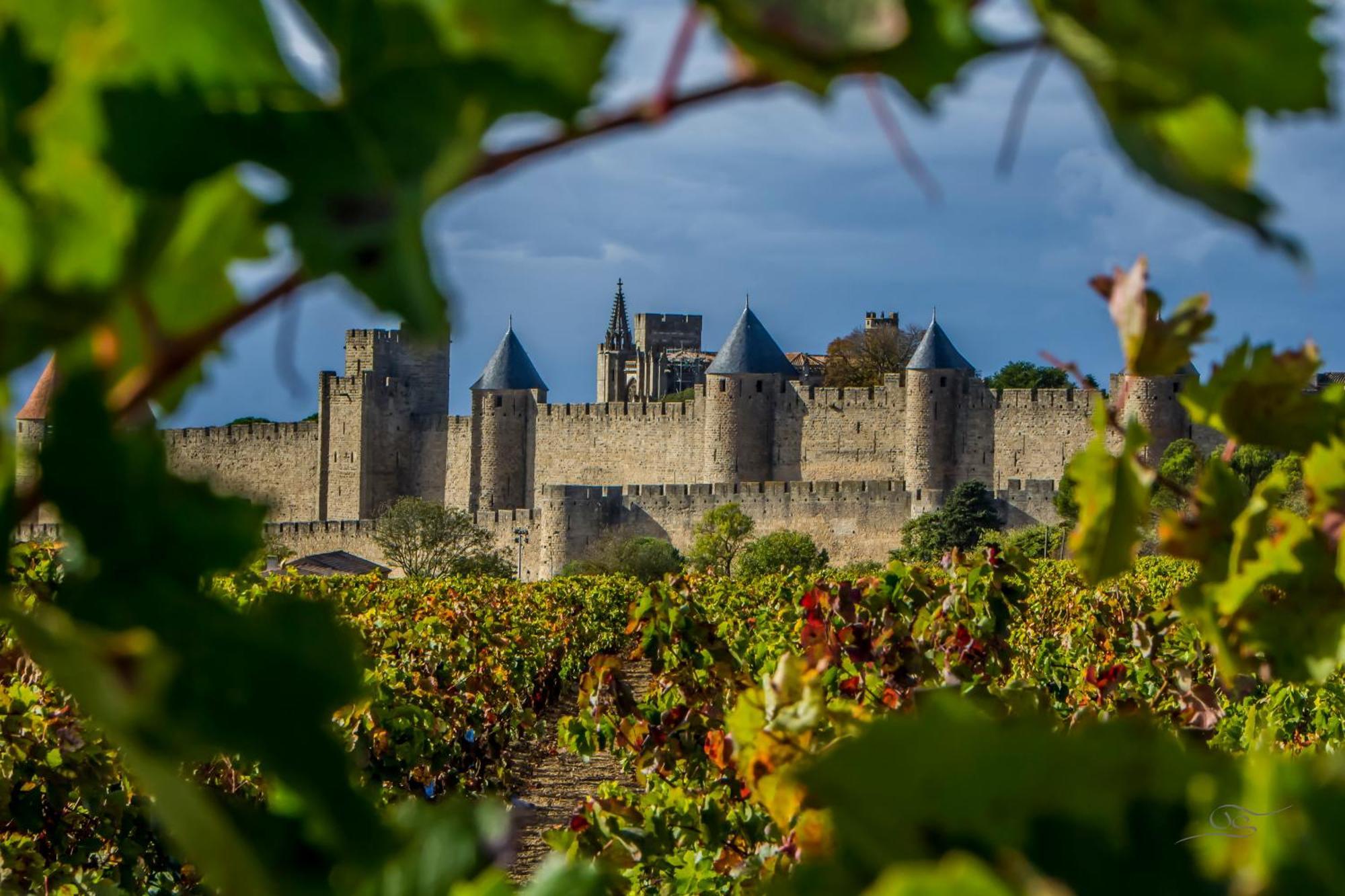 Maison Cantalauze - Pays Cathare - Carcassonne - Canal Du Midi تْريبْ المظهر الخارجي الصورة